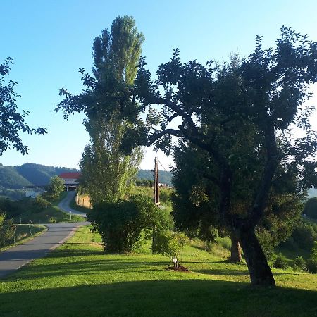 Maxl Villa Maltschach Kültér fotó