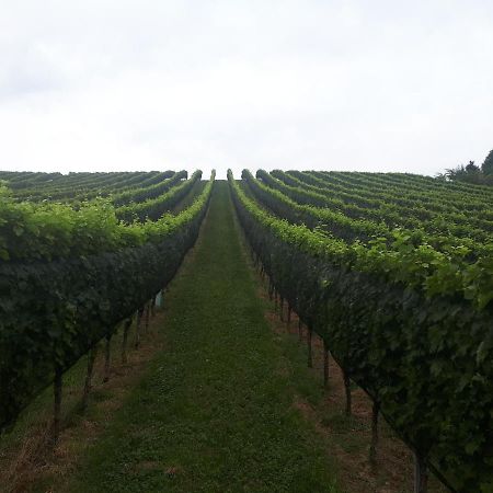 Maxl Villa Maltschach Kültér fotó