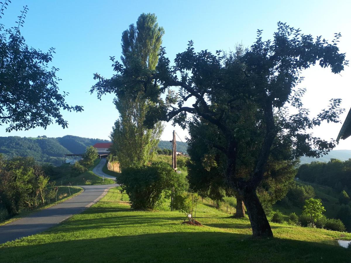 Maxl Villa Maltschach Kültér fotó