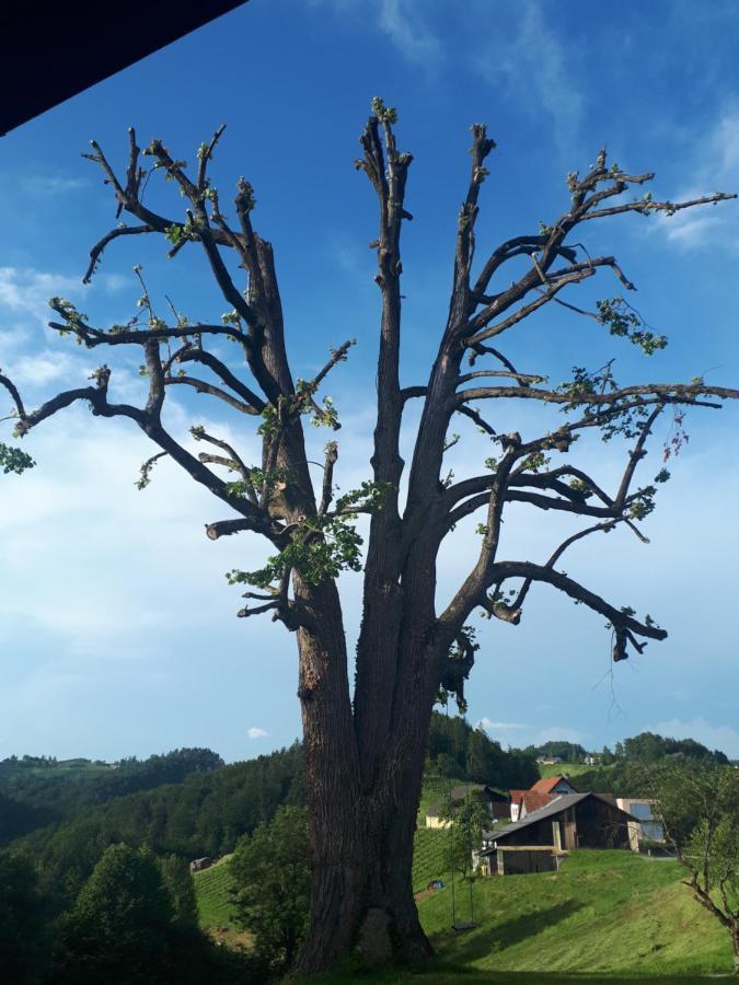 Maxl Villa Maltschach Kültér fotó