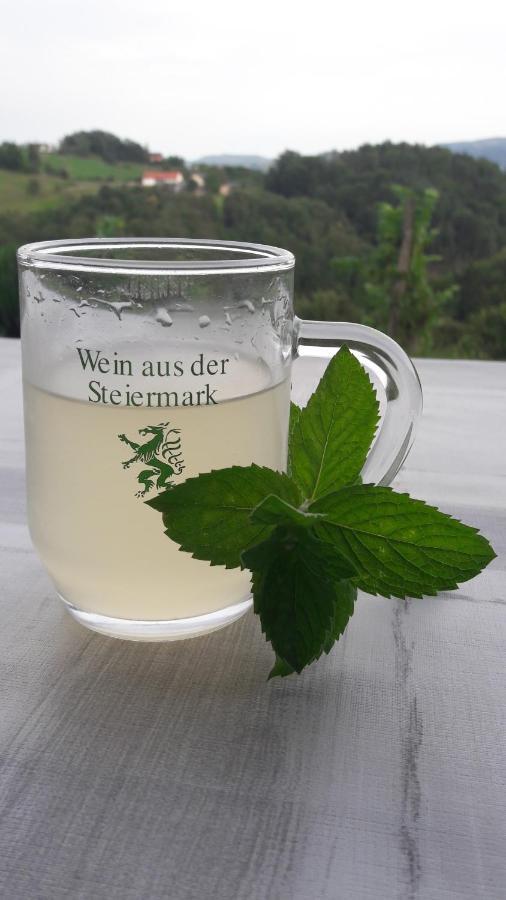 Maxl Villa Maltschach Kültér fotó