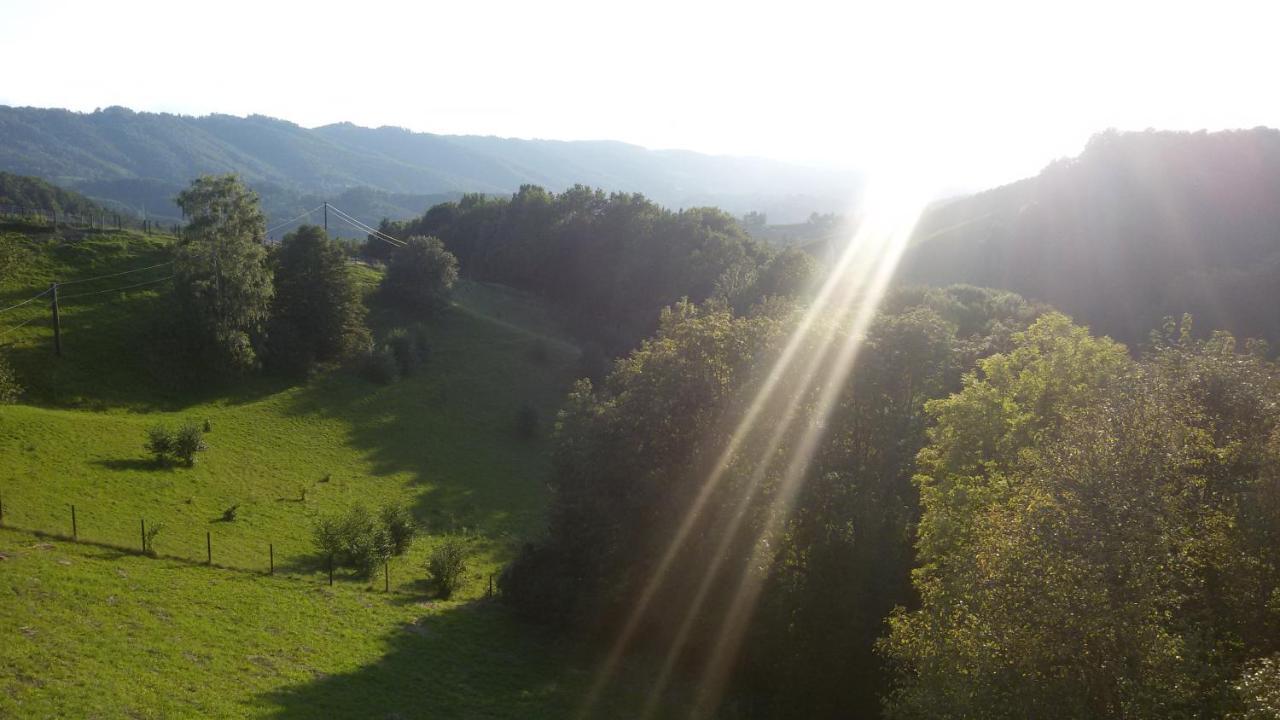Maxl Villa Maltschach Kültér fotó